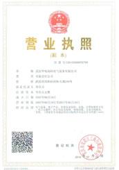 武汉ld高科营业执照